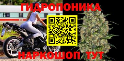 МДМА Славгород