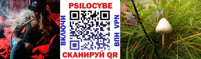 Галлюциногенные грибы Psilocybine cubensis купить Тольятти