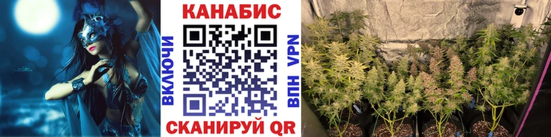 Шишки марихуана VHQ как найти закладки Тольятти