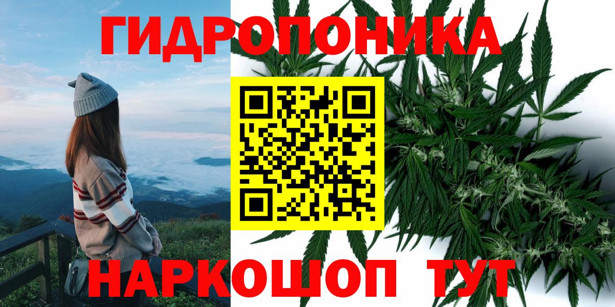 Каннабис гибрид  Каннабис LSD WEED  Канабис план  Тольятти  Вход с VPN 